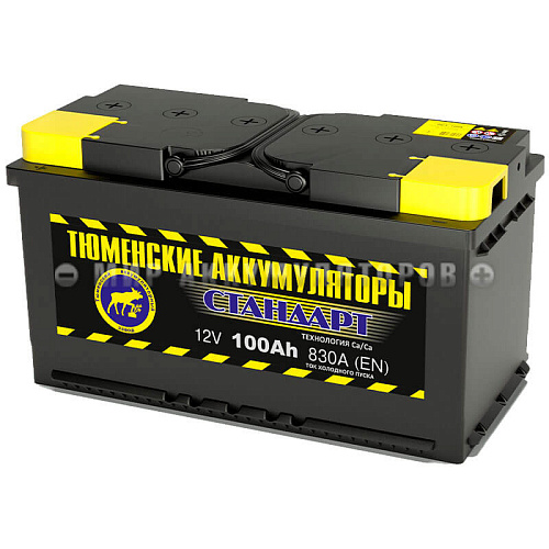 ТЮМЕНЬ  100 п.п.