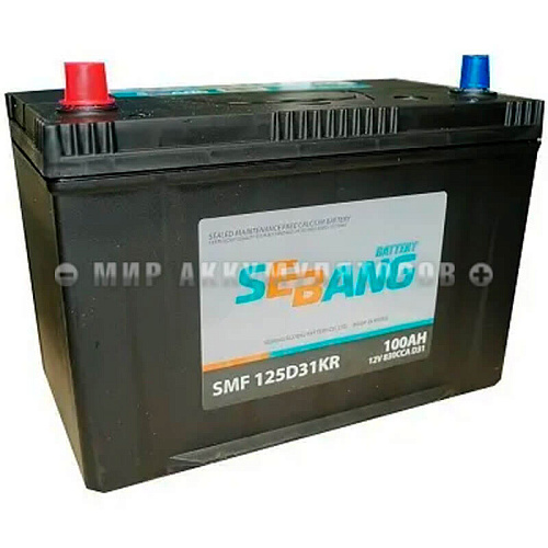 SEBANG  6СТ-100 (125D31R)