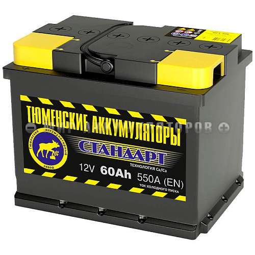 ТЮМЕНЬ  60 п.п.